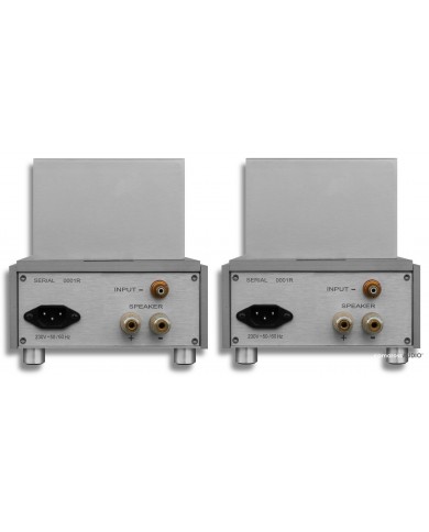 EMPHASIS FIORO HYBRID POWER - DACT PREAMP