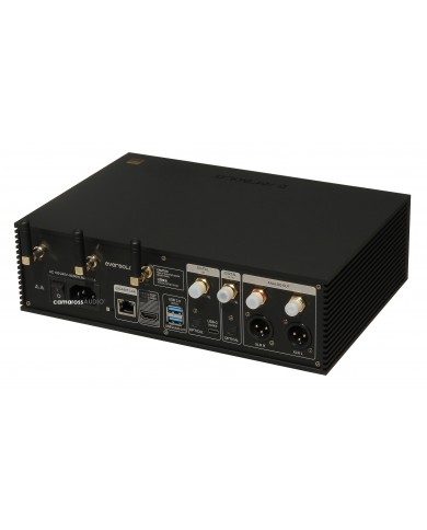 EverSolo DMP-A6 rear EverSolo DMP-A6 rear