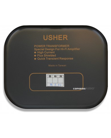 Usher Power Transformer