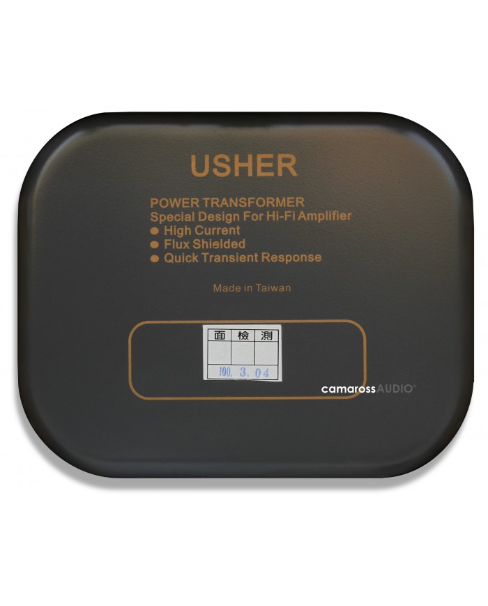 Usher Power Transformer