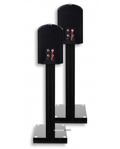 Bowers & Wilkins PM1