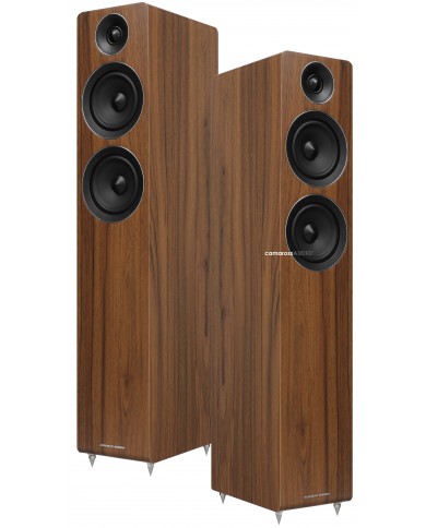 Acoustic Energy AE-109