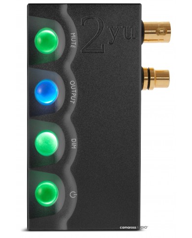 Chord Electronics 2yu Portable Music Streamer / Player