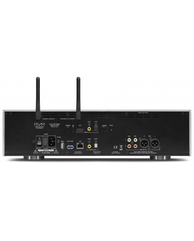 AVM EVOLUTION MP 5.3 inputs AVM EVOLUTION MP 5.3 inputs