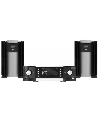 Mark Levinson ( No: 519 - 33H )