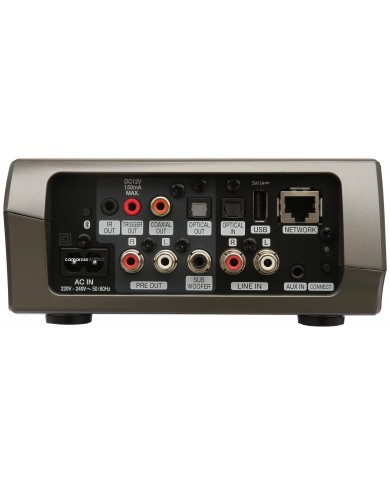 Denon HEOS Link HS2 inputs