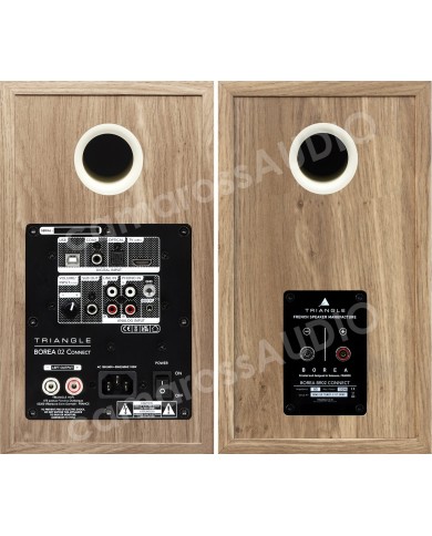 Triangle Borea BR02 Connect hoparlör arka paneli, USB, Coax, Optik girişli