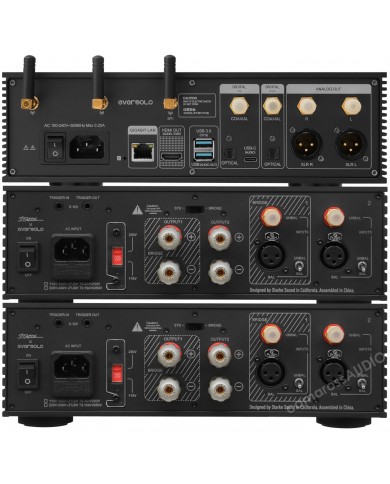 Eversolo AMP-F2  ( Mono-Mono ) - DMP A-6 Eversolo AMP-F2  ( Mono-Mono ) - DMP A-6