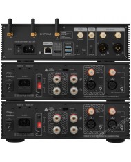Eversolo AMP-F2  ( Mono-Mono ) - DMP A-6 Eversolo AMP-F2  ( Mono-Mono ) - DMP A-6