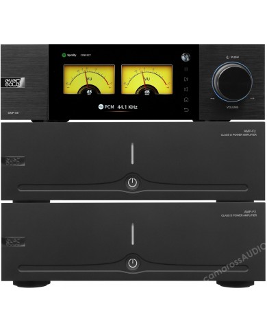 Eversolo AMP-F2  ( Mono-Mono ) - DMP A-6 Eversolo AMP-F2  ( Mono-Mono ) - DMP A-6