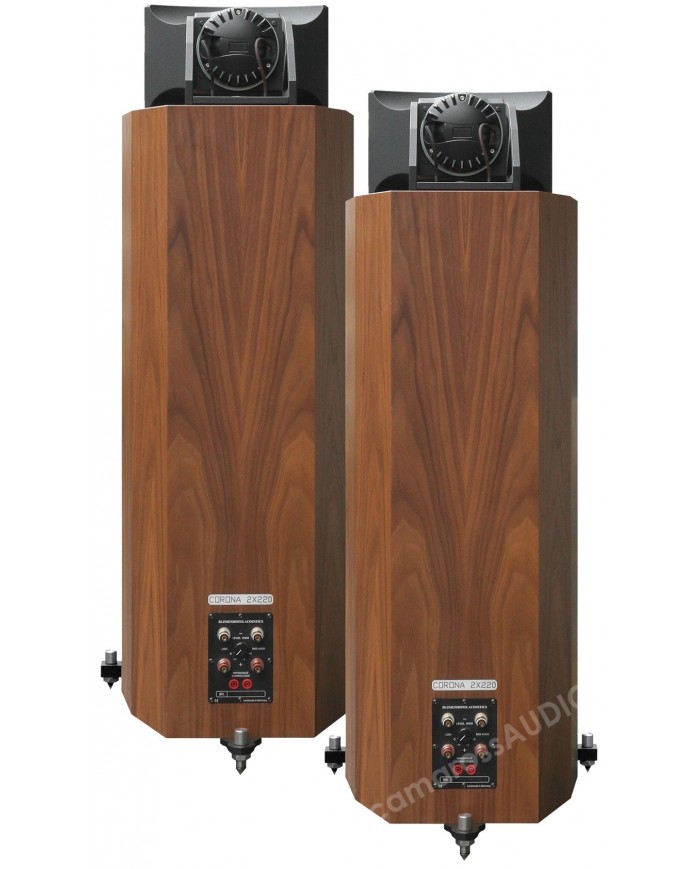 Blumenhofer Acoustics Corona 2x220 Blumenhofer Acoustics Corona 2x220