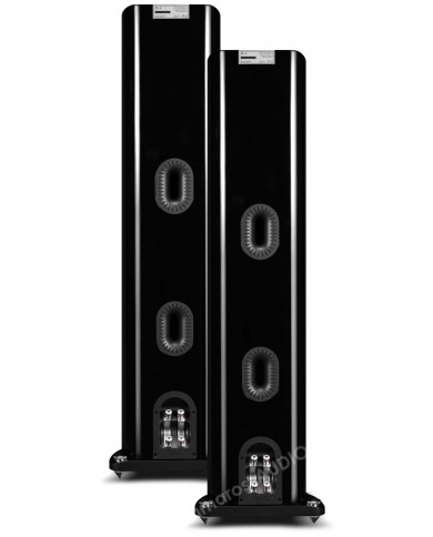 Mission ZX-4 Siyah Parlak Hoparlör Arkası Portları ve Bağlantı Terminalleri
