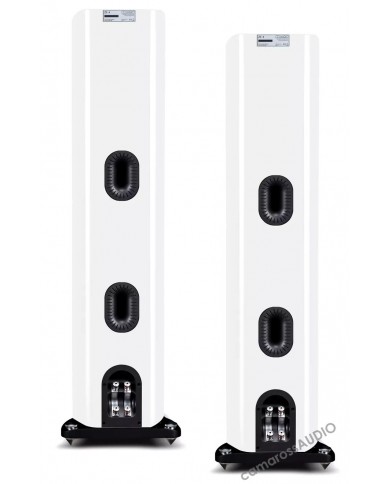 Mission ZX-4 Beyaz Hoparlör Arkası: Portlar ve Bağlantı Terminalleri.