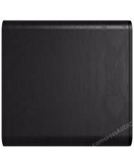 Klipsch Flexus SUB 100