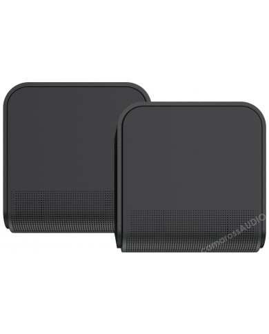 Klipsch Flexus SURR 100 Klipsch Flexus SURR 100