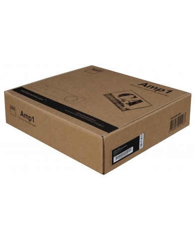 NAD AMP1
