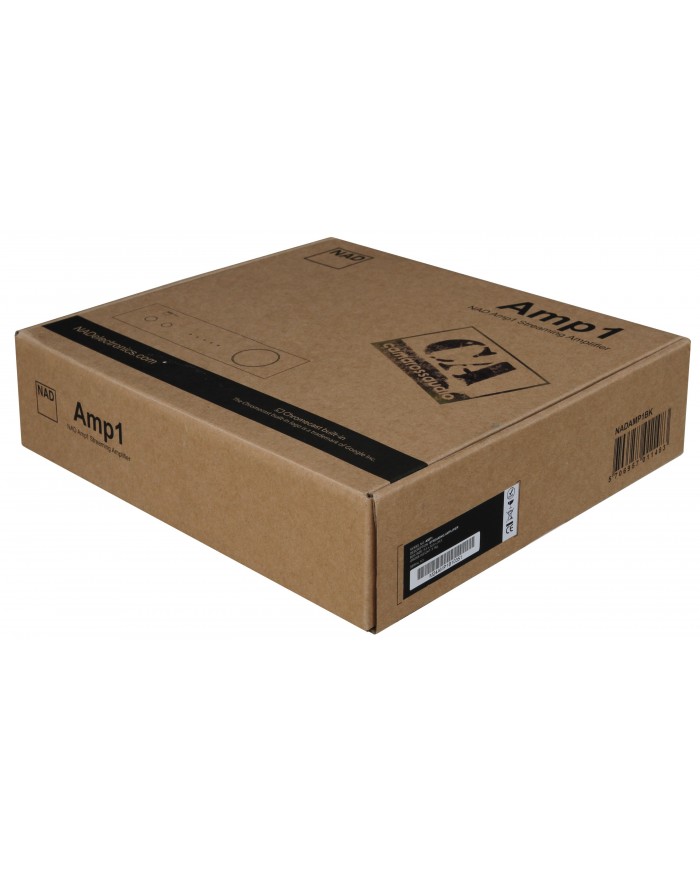 NAD AMP1