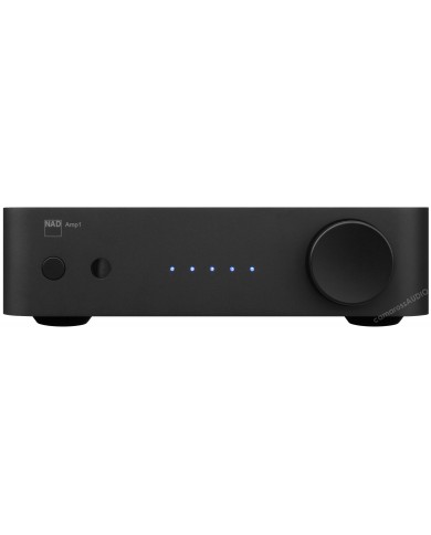 NAD AMP1