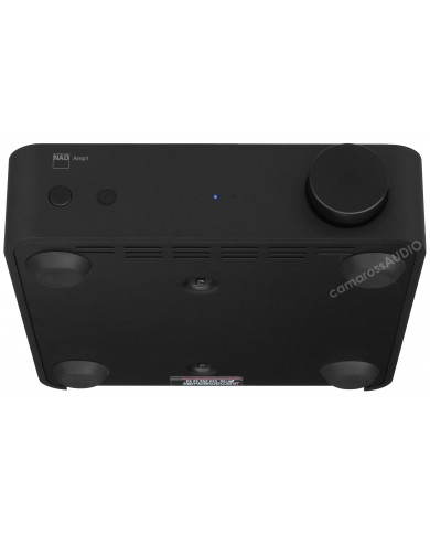 NAD AMP1