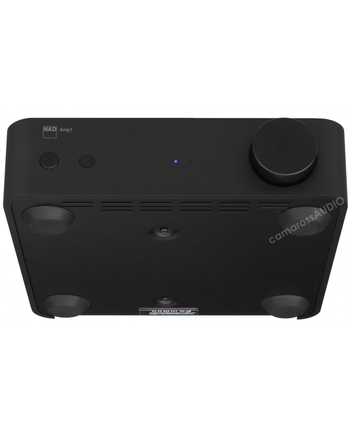 NAD AMP1