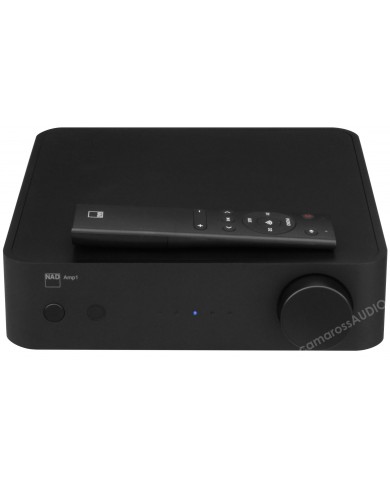 NAD AMP1