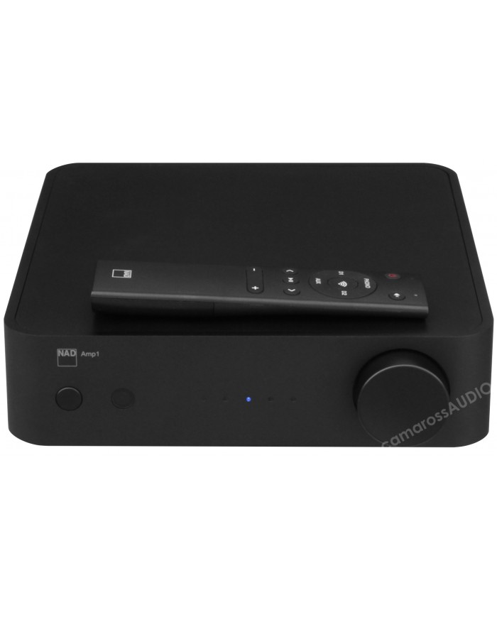 NAD AMP1
