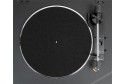 Rekkord Audio F100