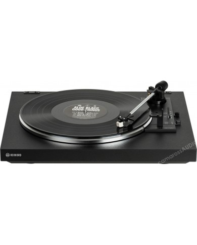 Rekkord Audio F100