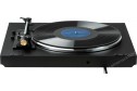 Rekkord Audio F100