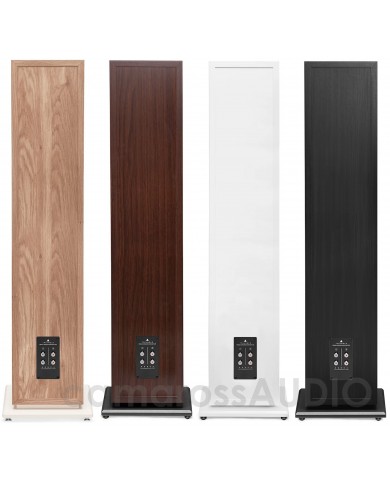 Triangle Borea BR10 Back side Triangle Borea BR10 Back side