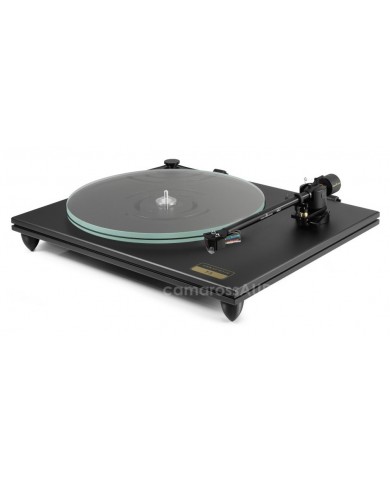 Gold Note T-5 Gold Note T-5