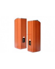 Sony SS-X70ED Speaker