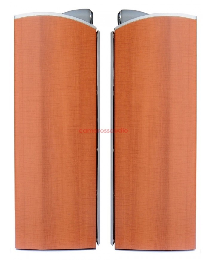 Sony SS-X70ED Speaker