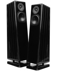 Chario Constellation Pegasus