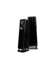 Chario Constellation Pegasus