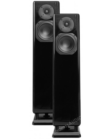 Chario Constellation Pegasus