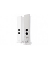 Argon Audio FORTE A55 Wifi