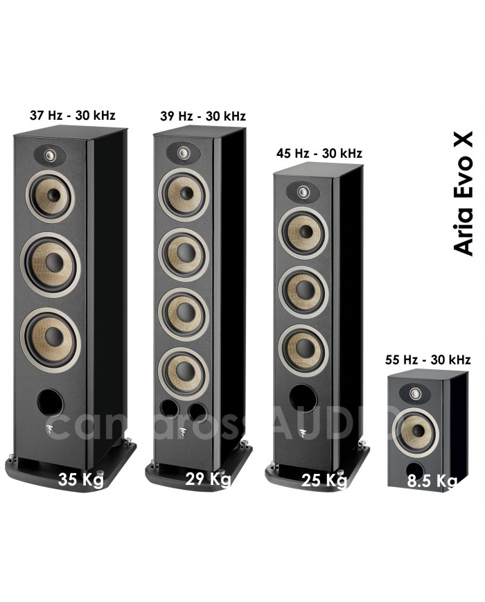 Focal Aria Evo X N°3