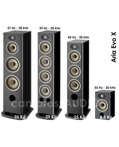 Focal Aria Evo X N°4