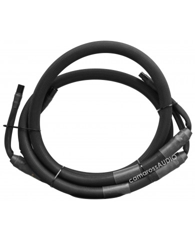 Purist Audio Design 20Th Anniversary (XLR) (2m)