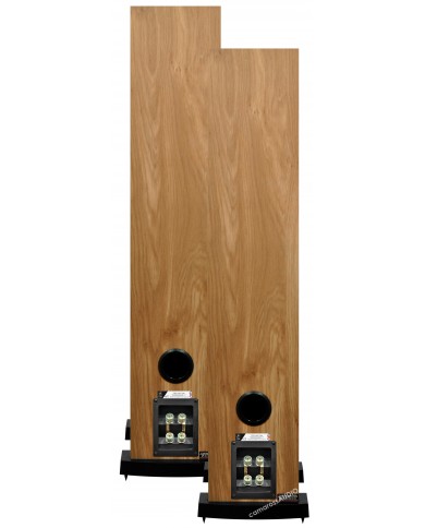 Fyne Audio F303