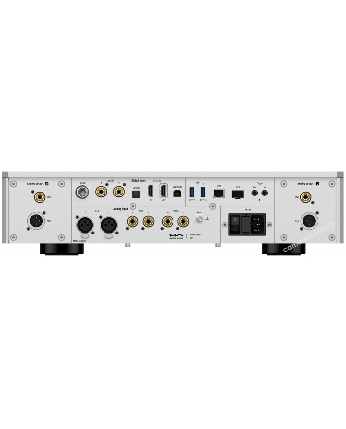 Matrix Audio MS-1 cihazının arka panel bağlantılarını gösteren gümüş renkli ses cihazı.