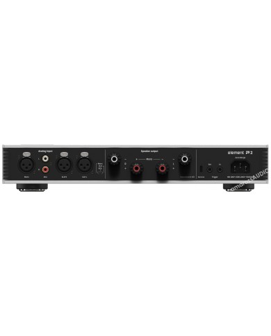 Matrix Audio Element P2 amplifikatör arka panel: analog giriş, hoparlör çıkışı, tetikleyici.