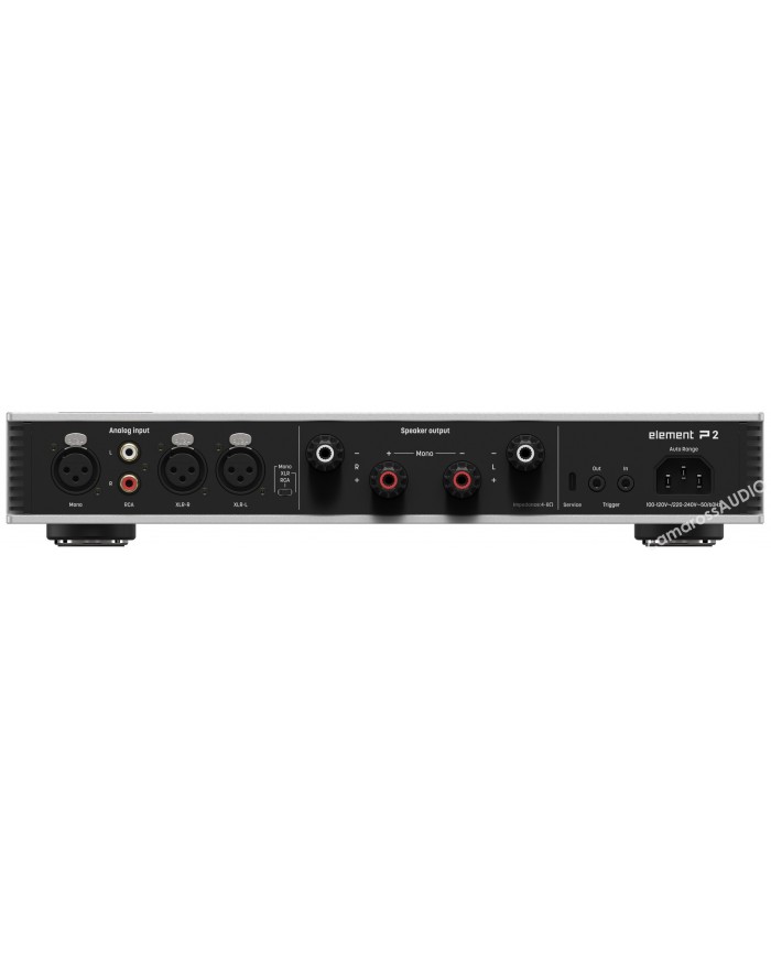 Matrix Audio Element P2 amplifikatör arka panel: analog giriş, hoparlör çıkışı, tetikleyici.