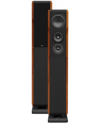 Chario Constellation Ursa Major ( Walnut )