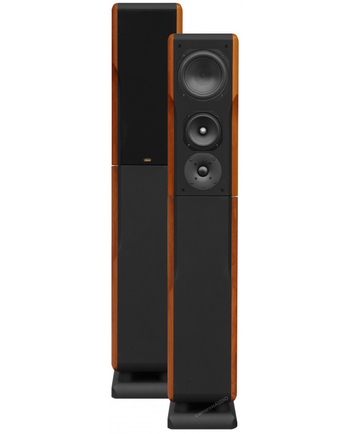 Chario Constellation Ursa Major ( Walnut )