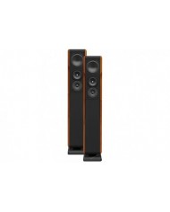 Chario Constellation Ursa Major ( Walnut )