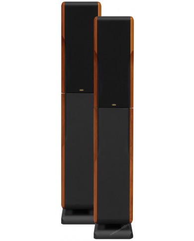 Chario Constellation Ursa Major ( Walnut )