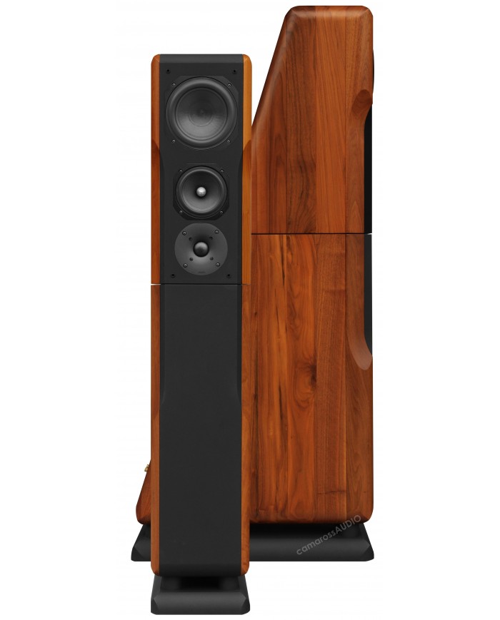 Chario Constellation Ursa Major ( Walnut )