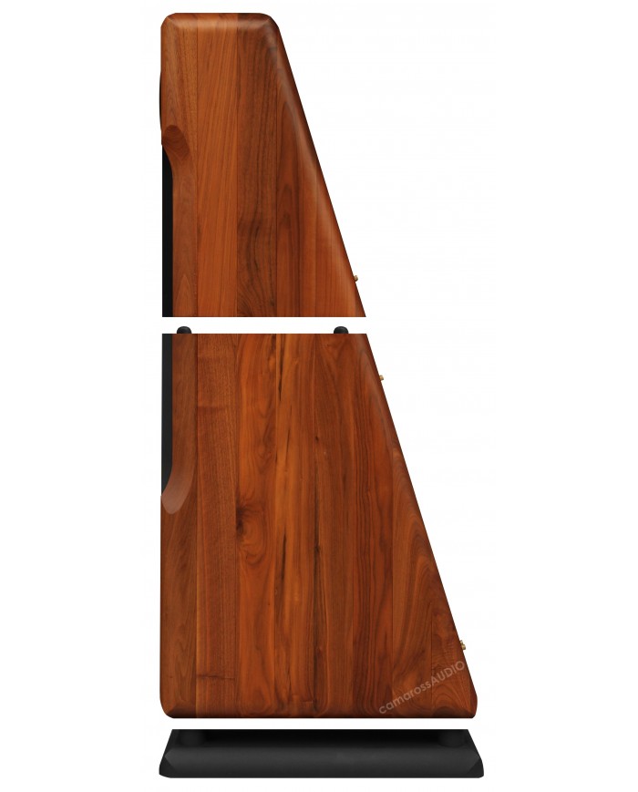 Chario Constellation Ursa Major ( Walnut )